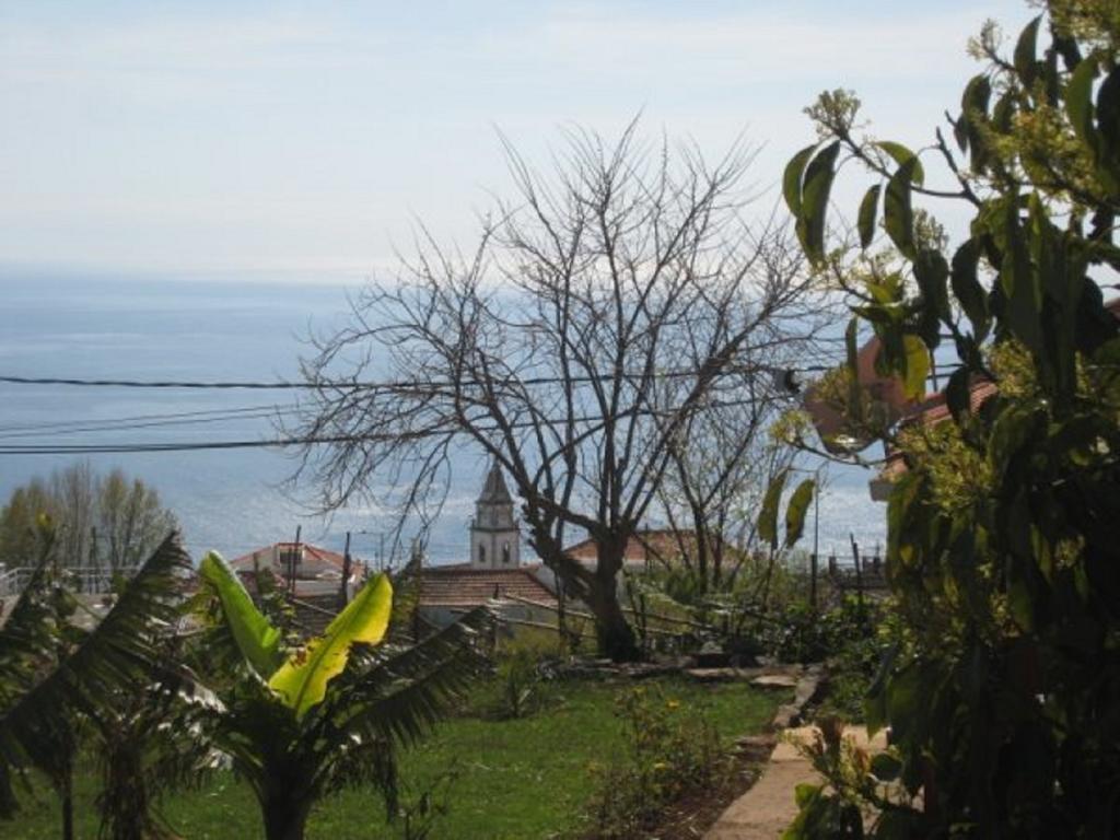 Little Norway In Madeira Βίλα Arco da Calheta  Εξωτερικό φωτογραφία