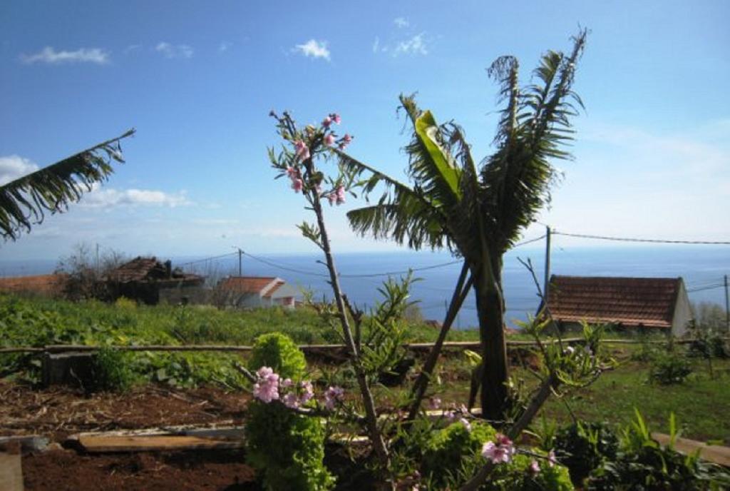 Little Norway In Madeira Βίλα Arco da Calheta  Εξωτερικό φωτογραφία