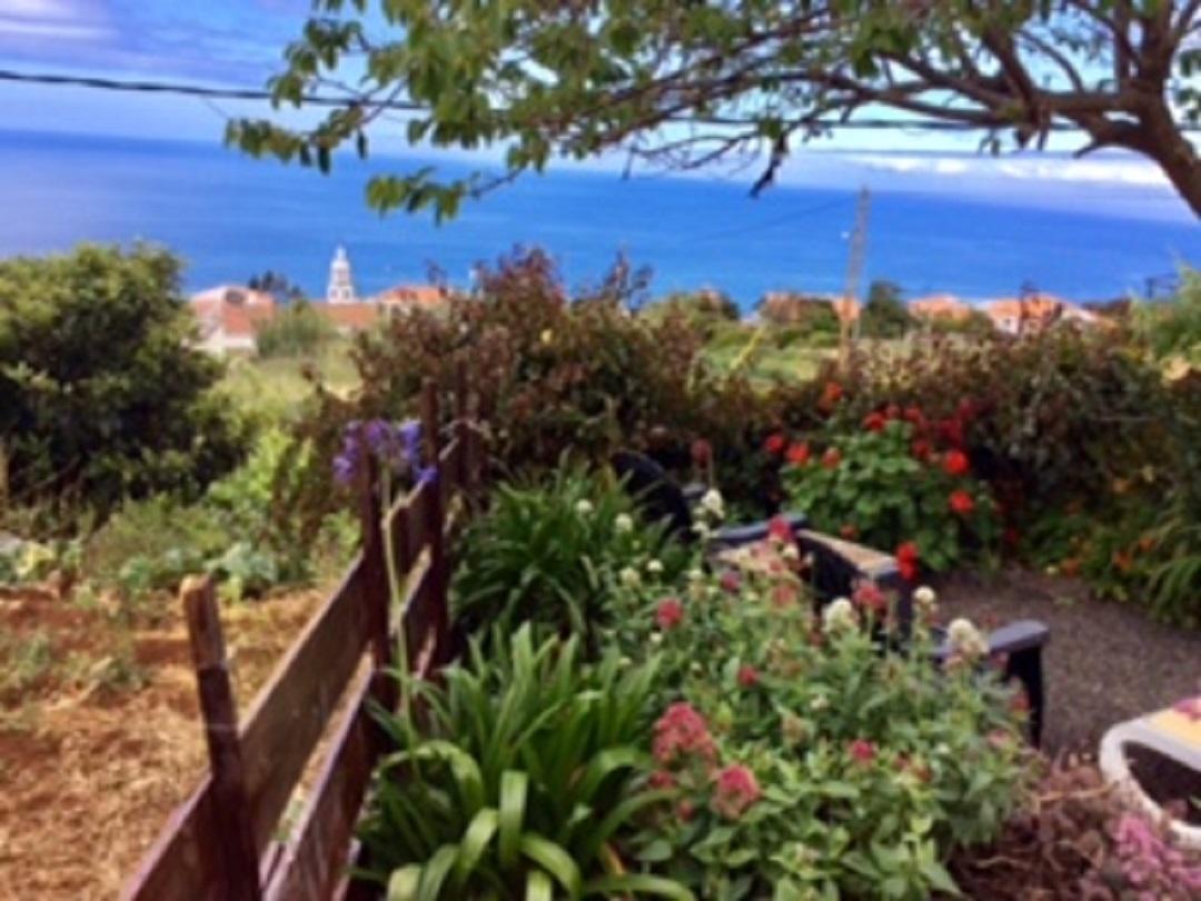Little Norway In Madeira Βίλα Arco da Calheta  Εξωτερικό φωτογραφία