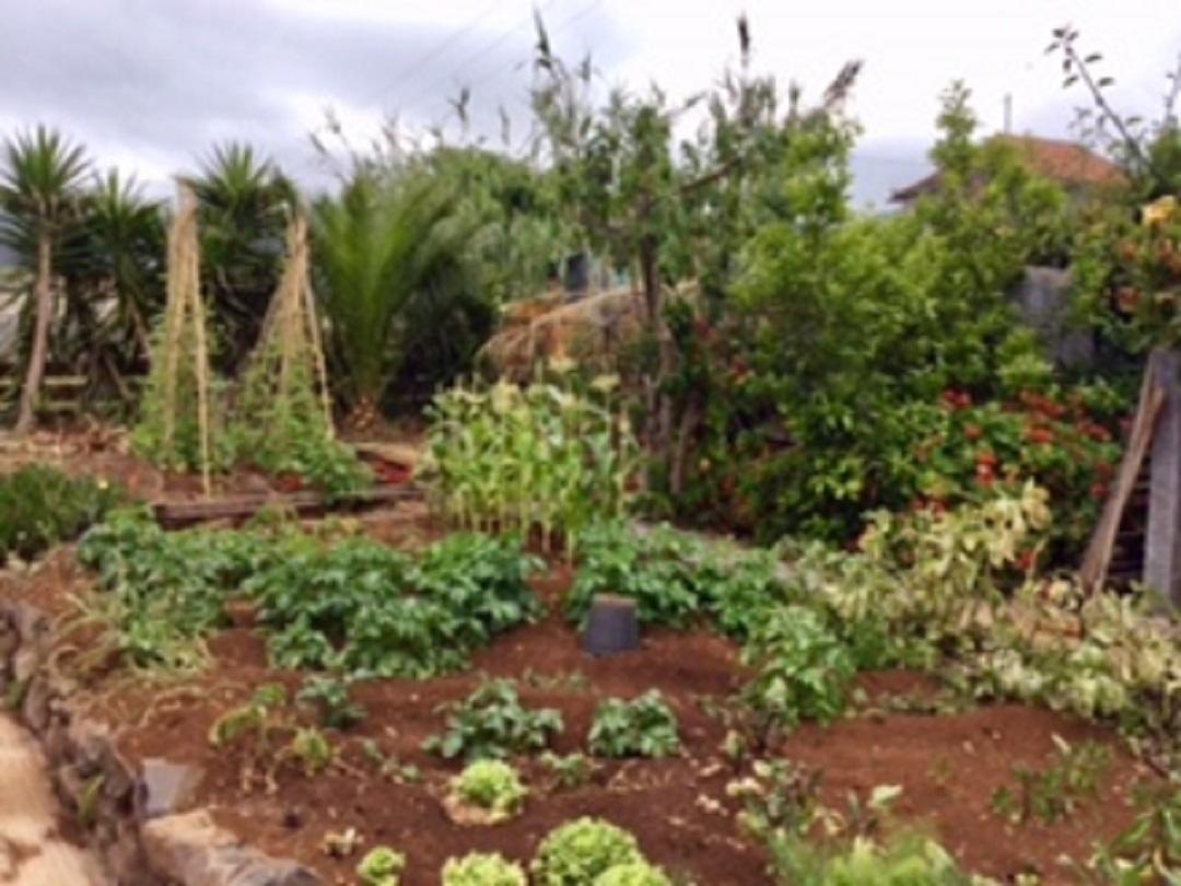 Little Norway In Madeira Βίλα Arco da Calheta  Εξωτερικό φωτογραφία